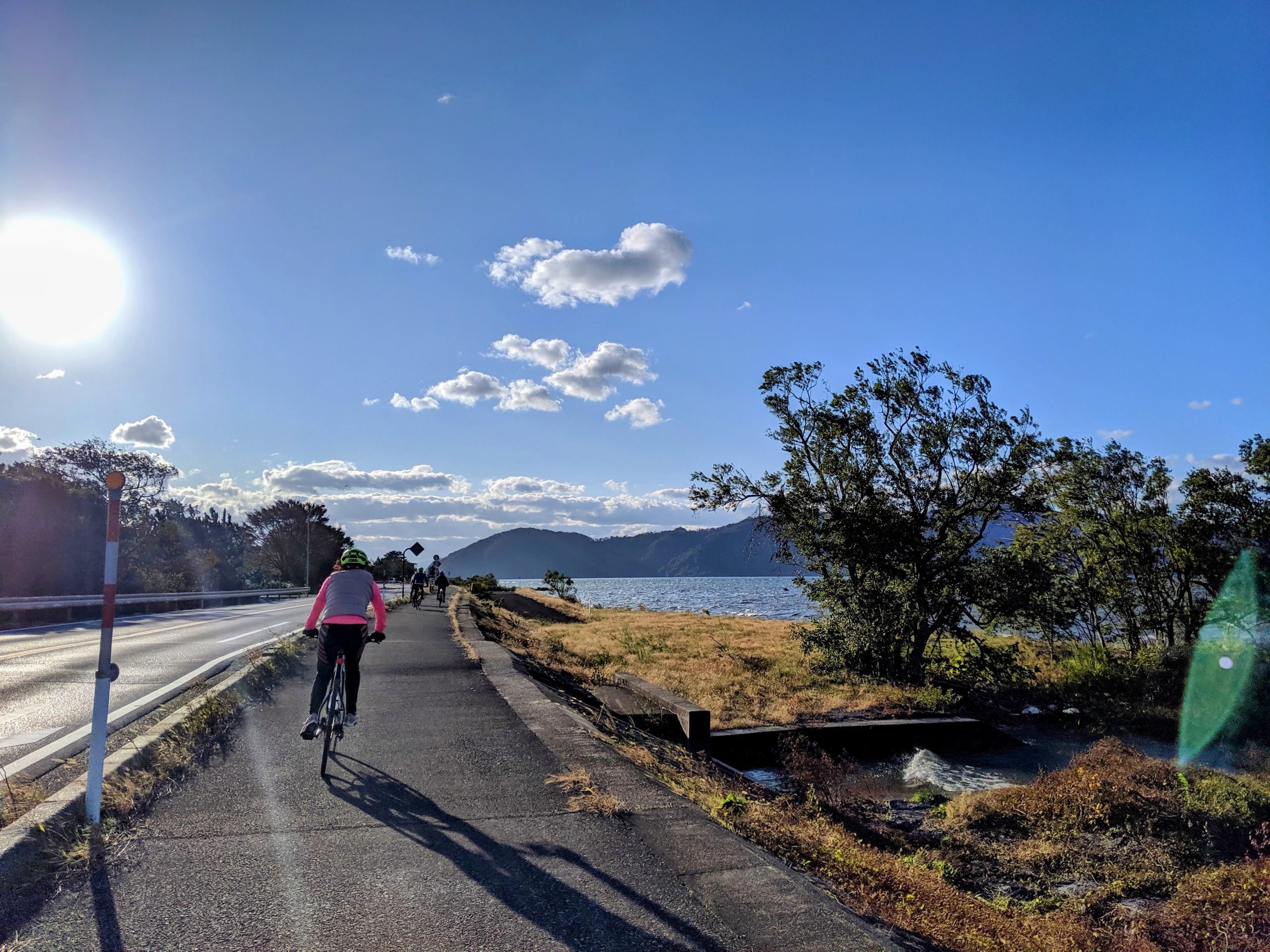 ⛩️ 시라히게 신사(白鬚神社) 이미지 3